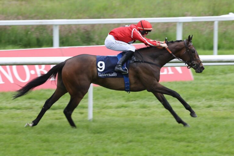 Romina Power verkauft – Joseph O’Brien neuer Trainer