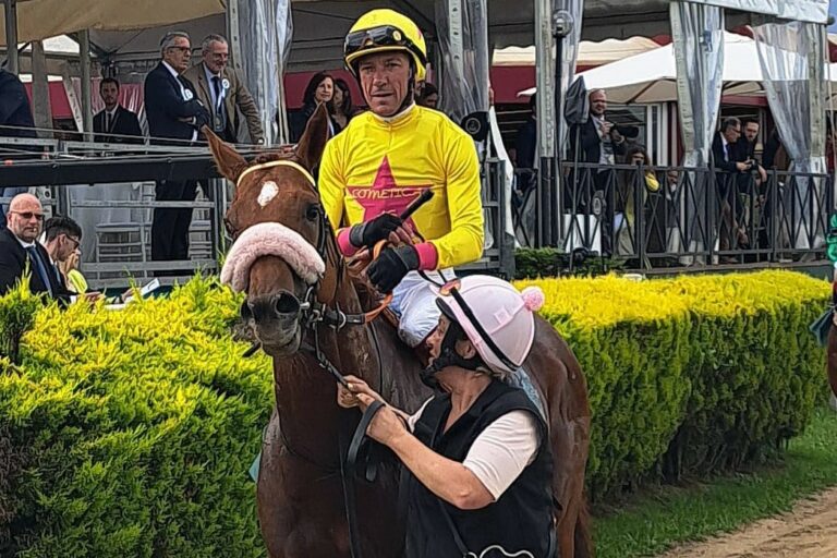 Ziel Dubai: Klassischer Sieger See Hector nach England verkauft