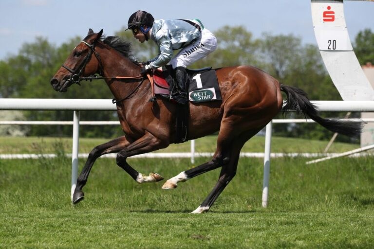 Amoudara nach Georgios? – Zwei aus zwei für Ebbesloh?