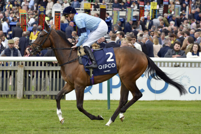 Guineas-Siegerin Cachet vor Comeback in Ascot?