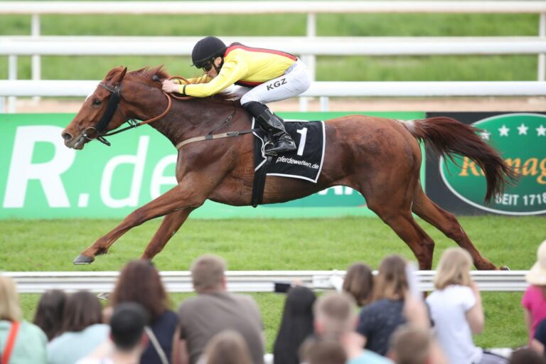 Ganz leicht – Oriental King gewinnt Vierpferde-Rennen