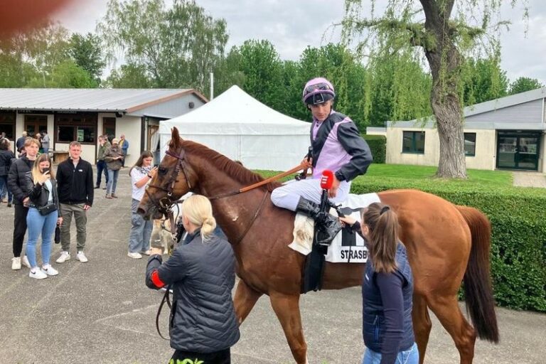 22,3:1! Wahiba Sands fliegt in Straßburg zum Sieg