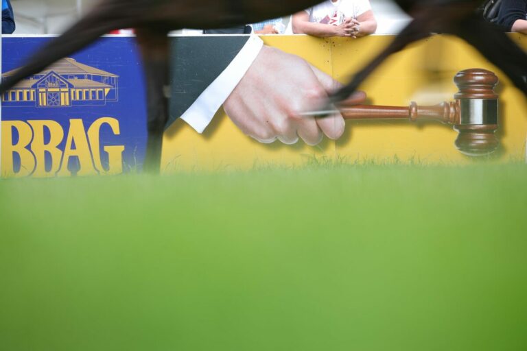 Anmeldeschluss für den Nachtragskatalog zum Sales & Racing Festival