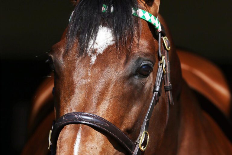 Frankel