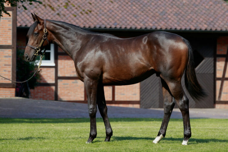 Sport-Welt TV Derby Countdown – If Not Now