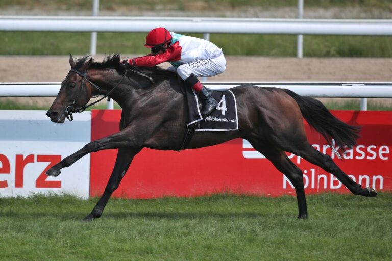 Lotterbov siegt unter Andrasch Starke