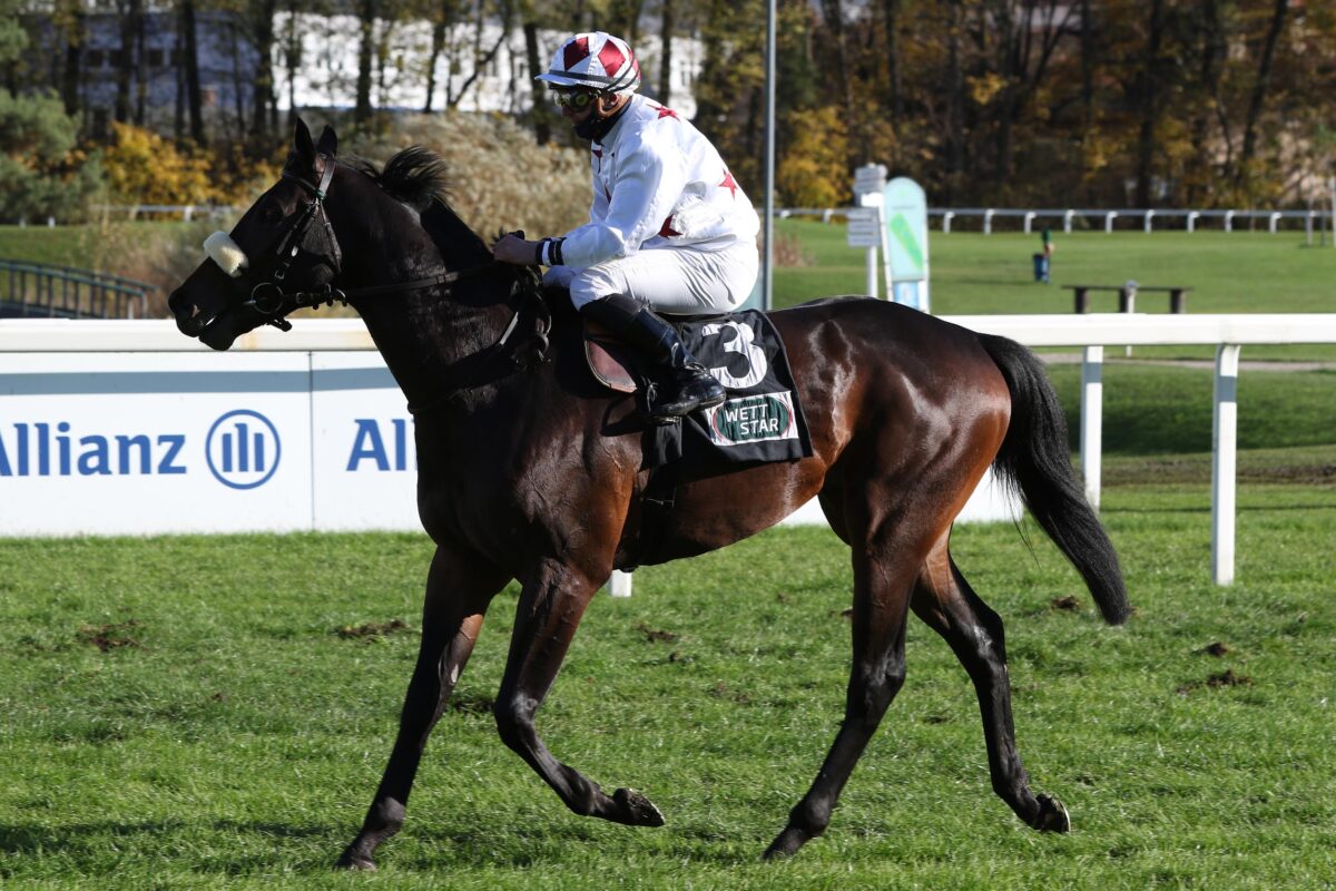 Auch der erste deutsche Zwilling 2024 ist unter Dach und Fach ...