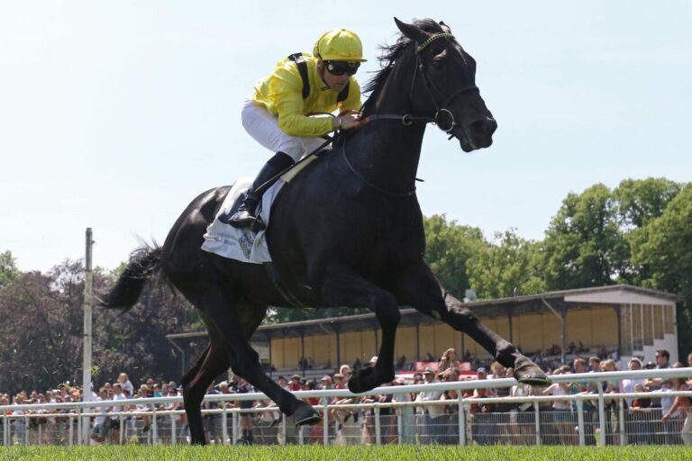 Maljoom siegt unter Stephen Donohoe im 37. Mehl-Mülhens-Rennen