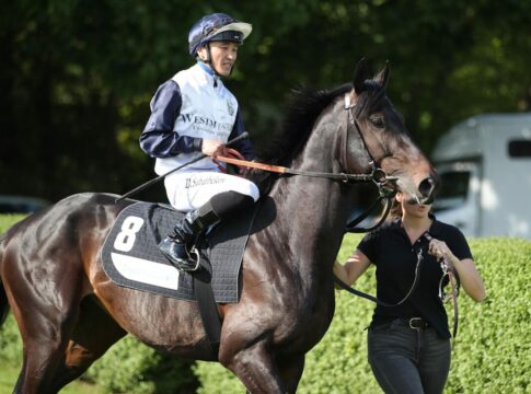 Auch Dzubasz am Sonntag mit Derbystarter