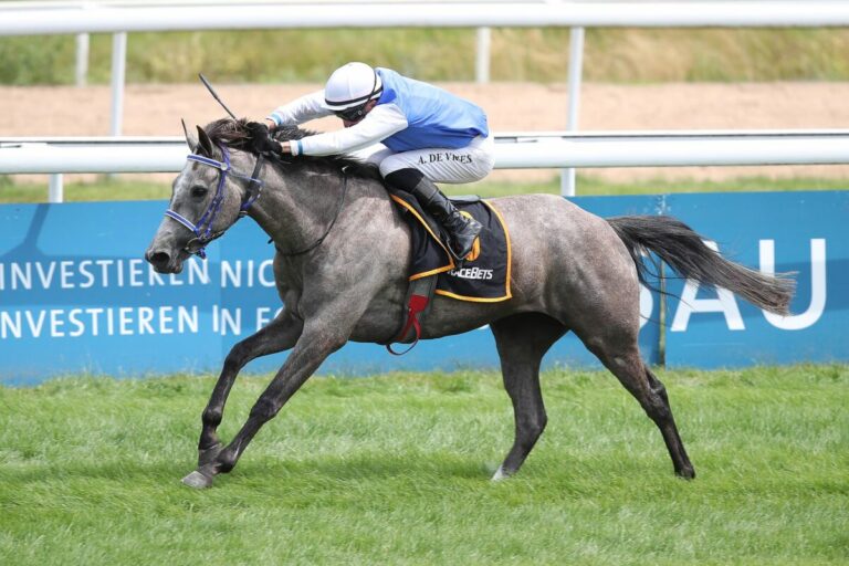 De Vries gewinnt Araberrennen mit Favoritin Papillion T