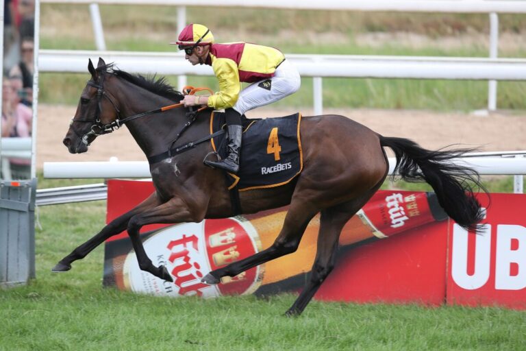 Sainte Marie und Wedding in May für „Silbernes Pferd“ nachgenannt