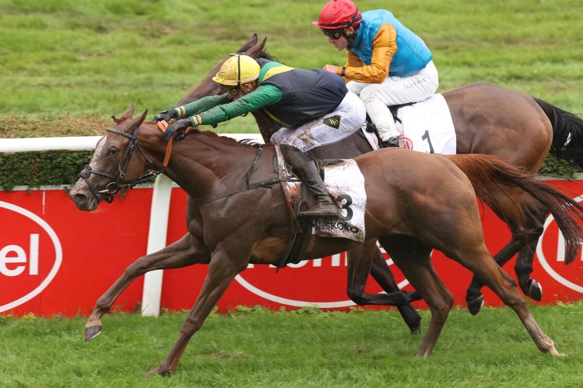 Preis der Diana 2024 ist zu Jetzt 98 Kandidatinnen