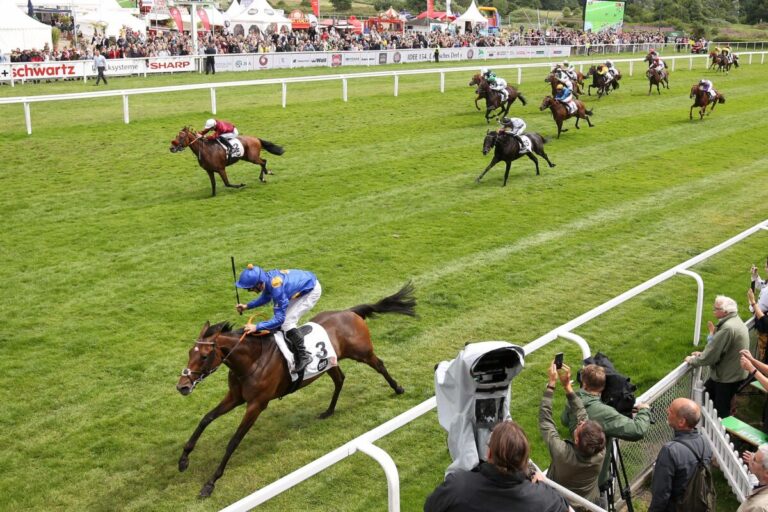 Fantastic Moon gewinnt das Derby gegen Mr Hollywood