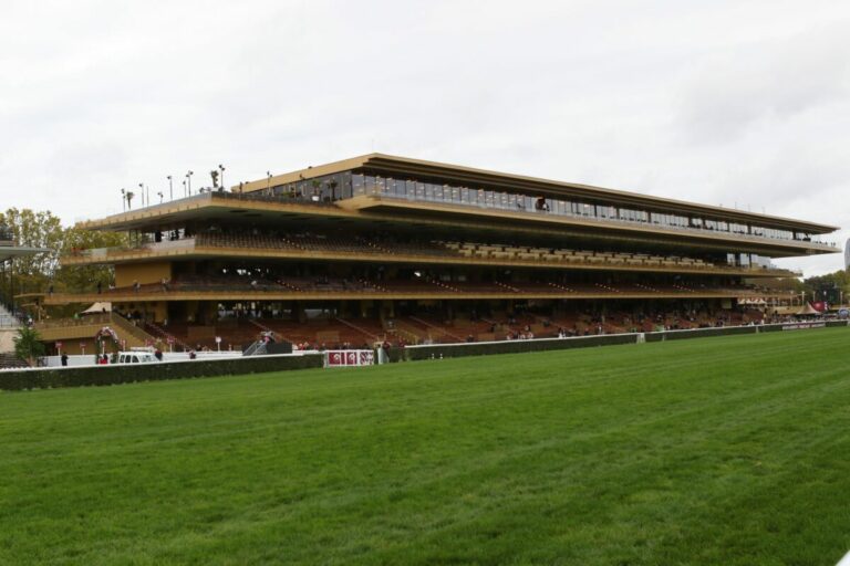 Beständige Anzahl an Auslandsstarts deutscher Pferde