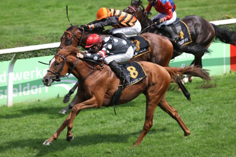 Saisonfinale im Weidenpescher Park