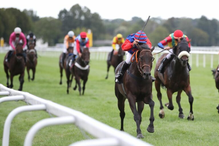 Nero Imperator siegt unter Shuichi Terachi