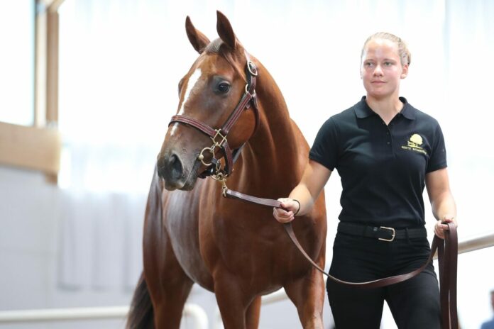 Antinori läuft in Zukunft für Liberty Racing 2023