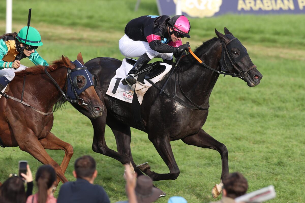 Belisaire siegt zum Abschluss und macht damit ein Doppel perfekt