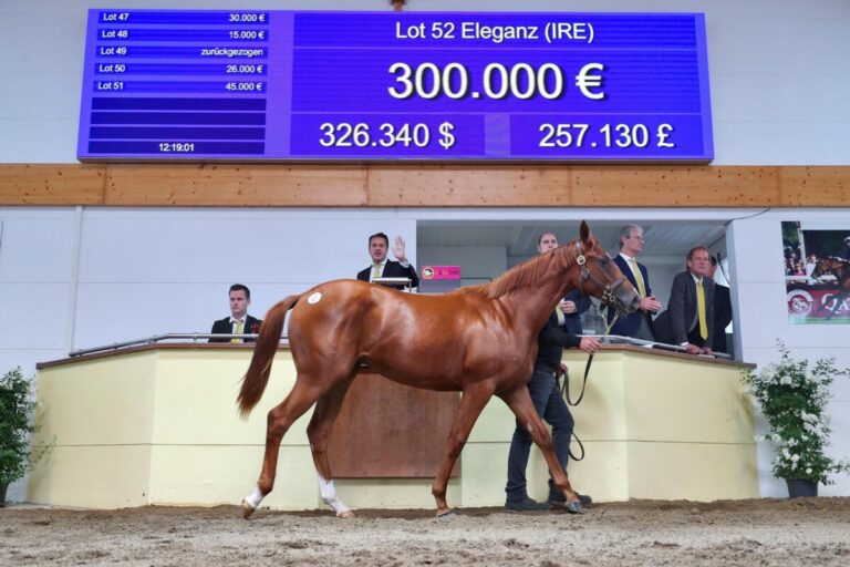 Sieg mit Wow-Faktor: Erle-Schwester Eleganz gleich beim Debüt