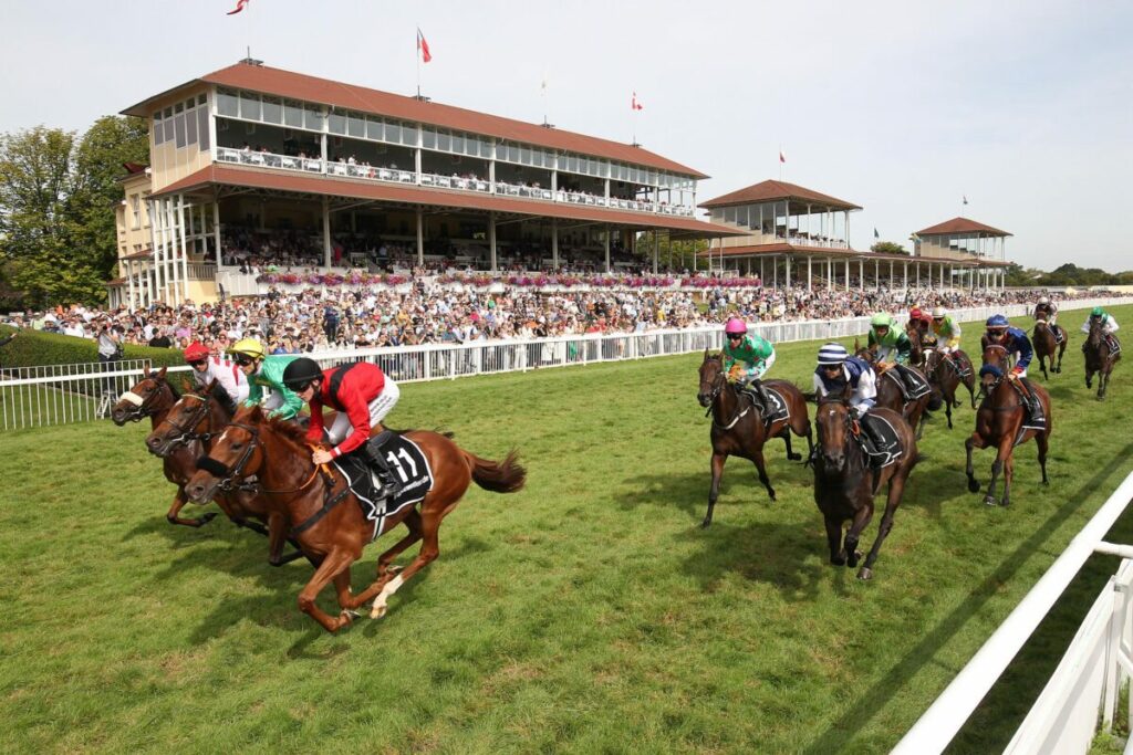  Die Renntermine 2024 in der Jahresübersicht - GaloppOnline.de Motiv 