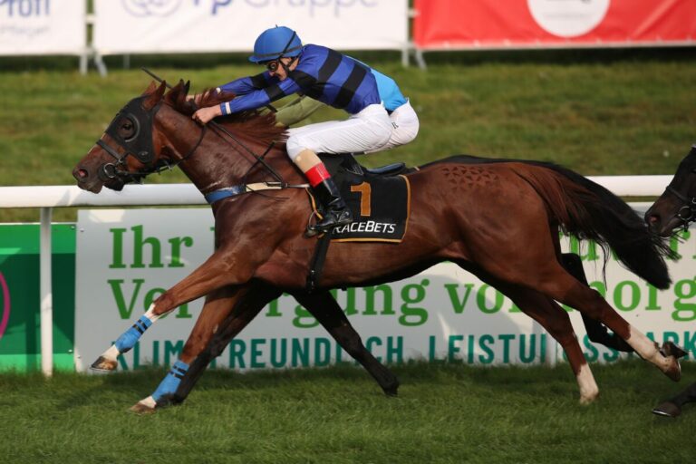 Scranton zweiter Holland-Treffer auf dem Raffelberg