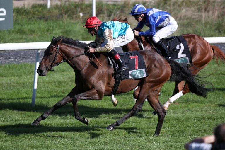 Weltbeste siegt unter Andrasch Starke