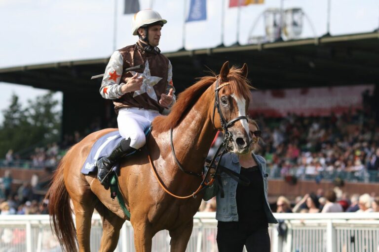Schweizer DW im Zürich GP – „Lord“ Vierter, Dolomit enttäuscht