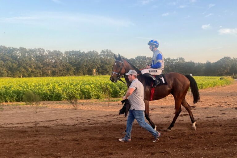 Erster Spurk-Sieger – Honzrath-König Achat schlägt schon wieder zu