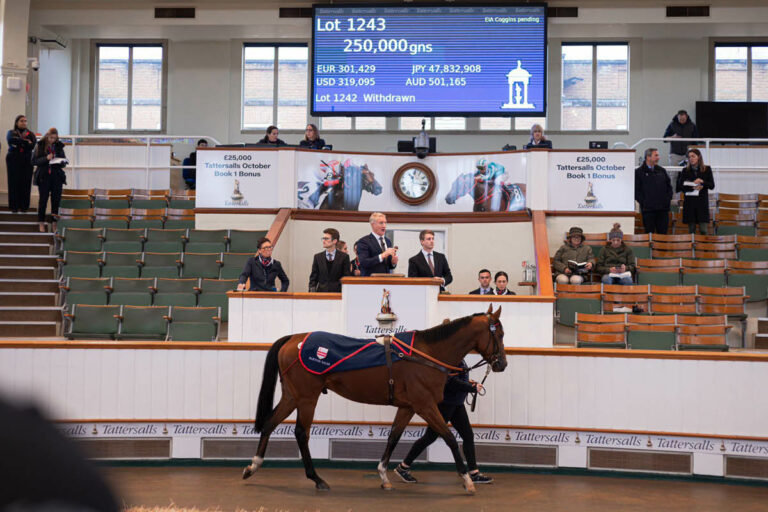 Für 250.000 Guineas – Gruppesieger Aemilianus verkauft
