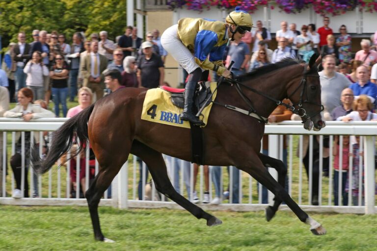 Schon am Dienstag geht es in Halle weiter