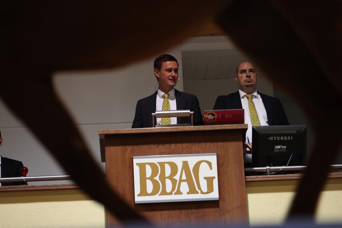 Tag zwei der BBAG Sales & Racing Festival-Auktion hat begonnen ...