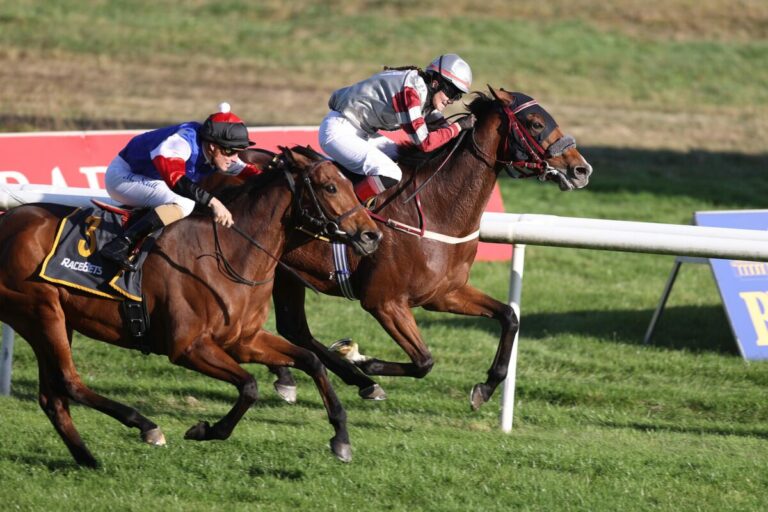 Coriolan kämpft zurück und gewinnt 4 Pferde-Rennen