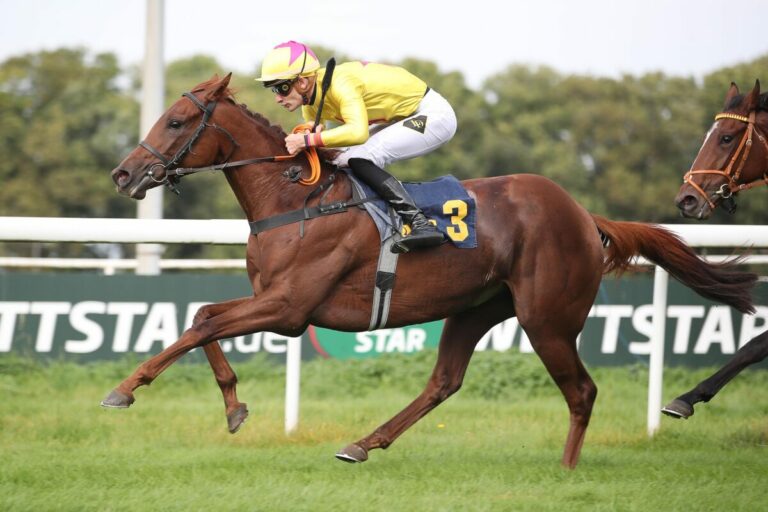 Debüt gesteigert – Be Ruby siegt für Nedorostek im Auktionsrennen