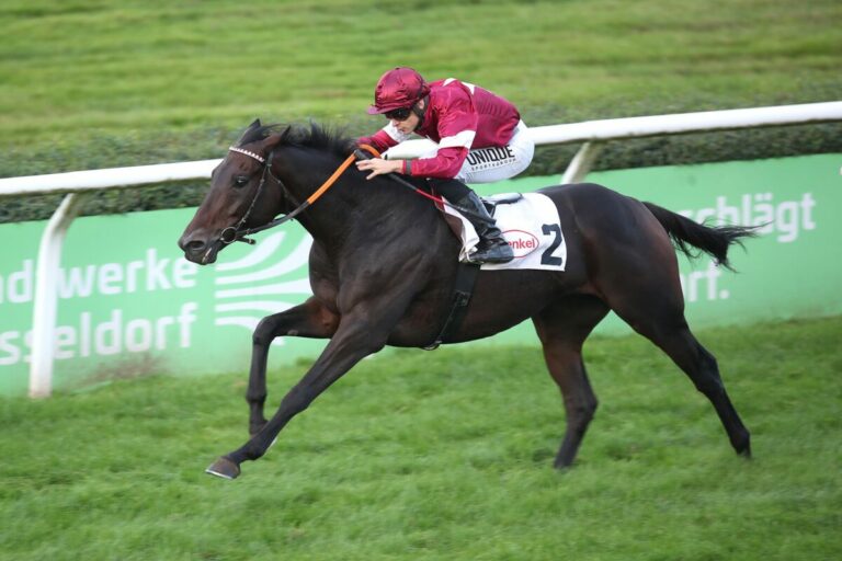 Atze hat längsten Atem über 3050 Meter, Boysens Nishiki Kamuro im Sprint