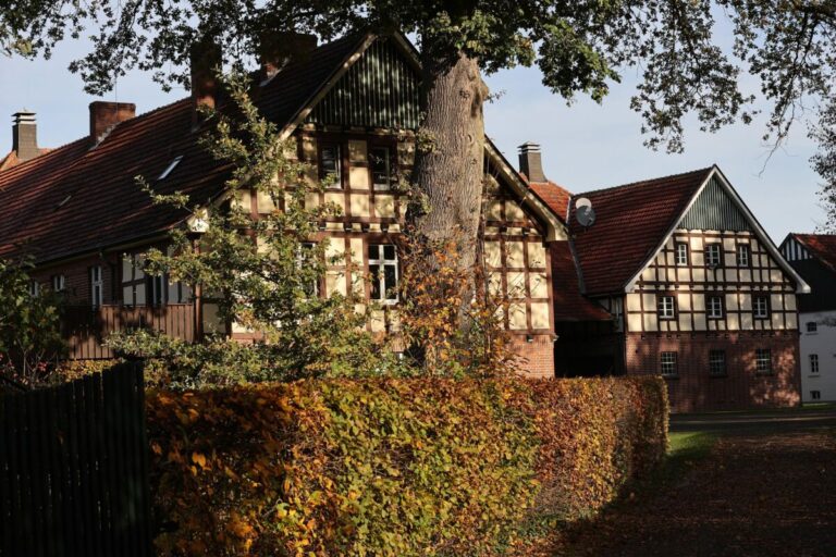 Liberty Breeding wird im Gestüt Ebbesloh züchten
