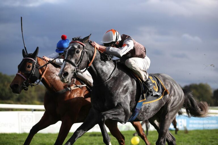 Dressman macht den Deckel drauf – Weißmeier-Einkauf beschließt Saison