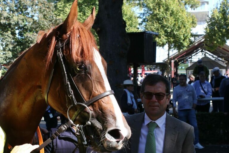 1.Renntag der Krefelder Industrie am Samstag im Stadtwald