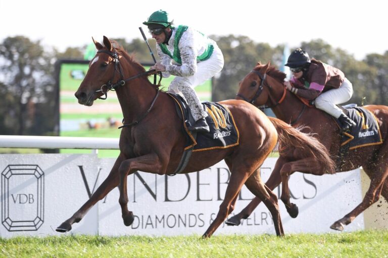 Adlerflug-Stute Meerschwalbe macht Klug zum Kölner Champion