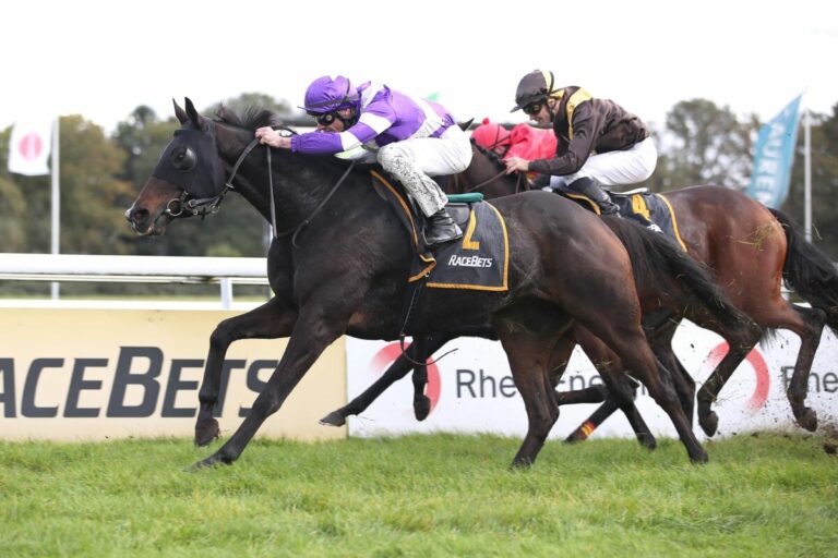 Zweiter Saisonsieg für Hartmann-Vertreter: Magritte du Champ gewinnt