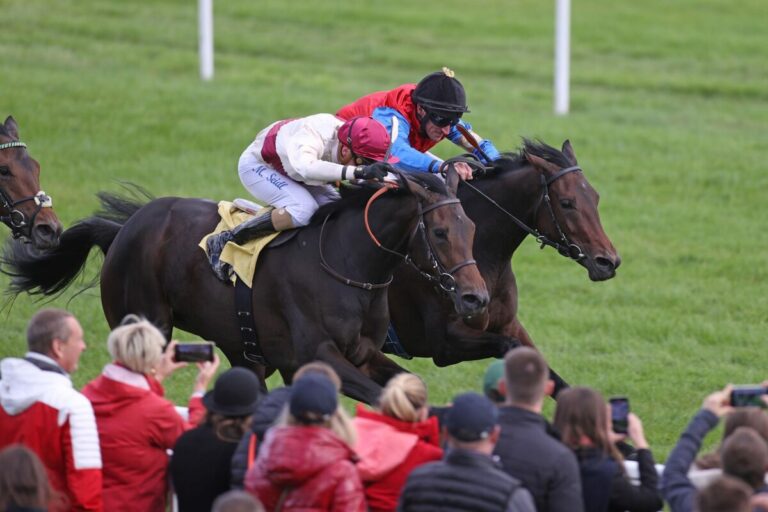 Shagara und Lady Mary