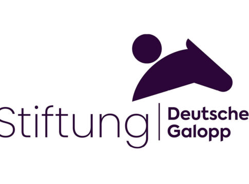 Stiftung DG_Logo_schwarz