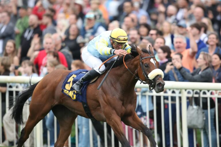 WACKENHUT Fillies Cup: Nächste Schlappe für die deutschen Ladies?