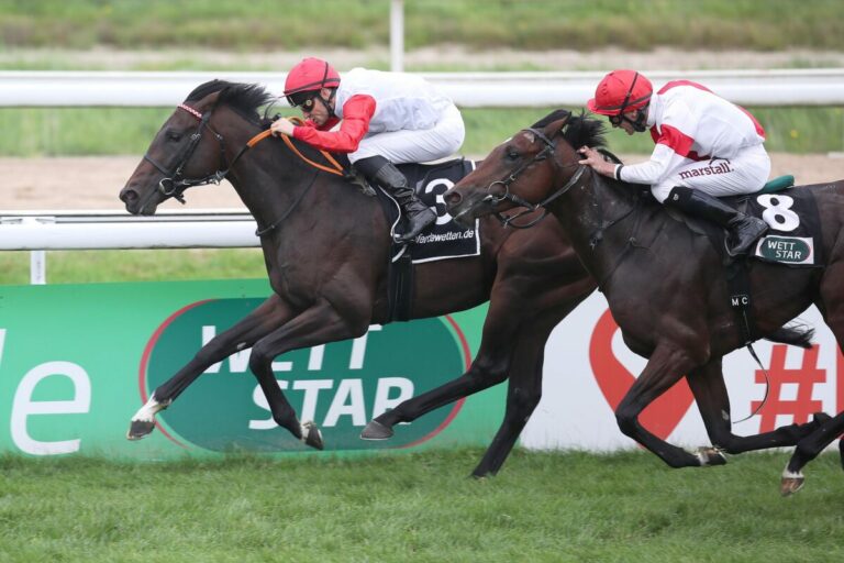 Geography ist die Nummer Eins der Zweijährigen 2023