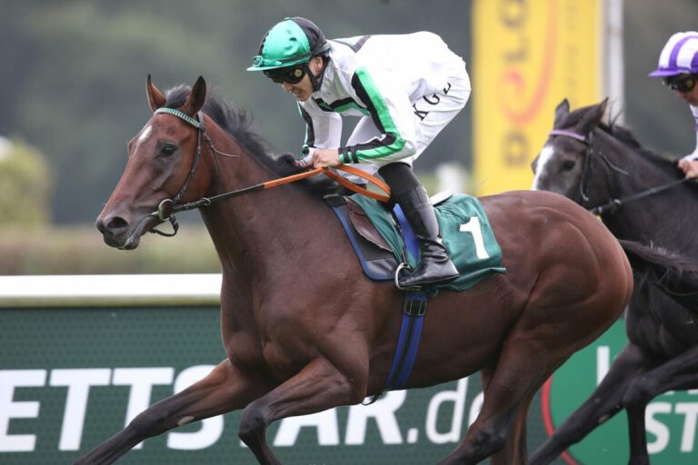 Immer wieder Dzubasz: Lokalmatador Va Bene gewinnt Top-Handicap