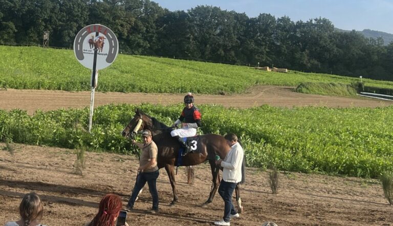 24,4:1! Varon zieht durch und überrascht sie alle