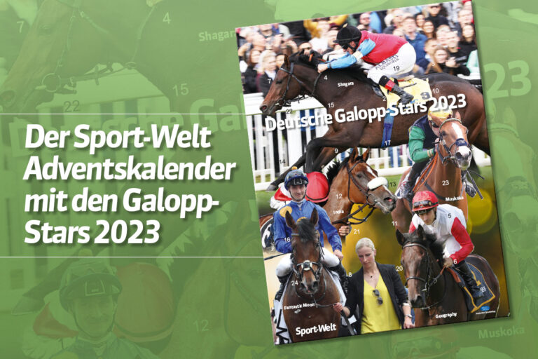 Jetzt bestellen, Montag wird verschickt: Sport-Welt Adventskalender