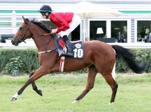 Dresden, Corbin mit Michael Cadeddu beim Aufgalopp