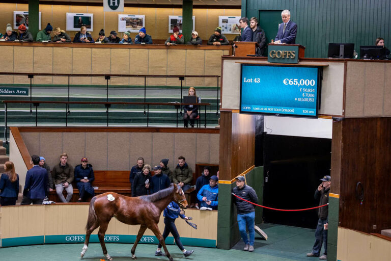 Der Lucky Vega-Sohn aus der Song of Time Foto: Goffs