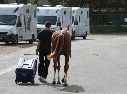 Saint Cloud, Groom and horse on the way to the stable
