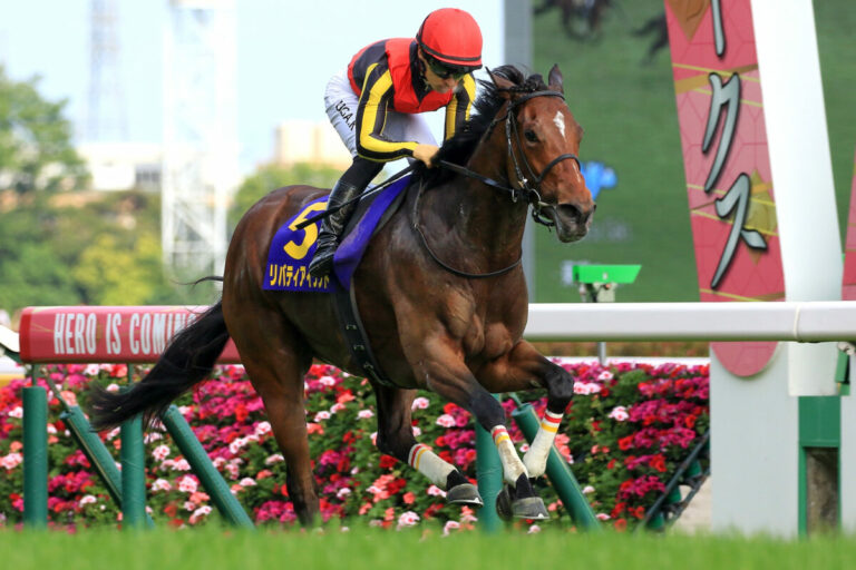Liberty Island gewinnt die Oaks Foto: Sorge